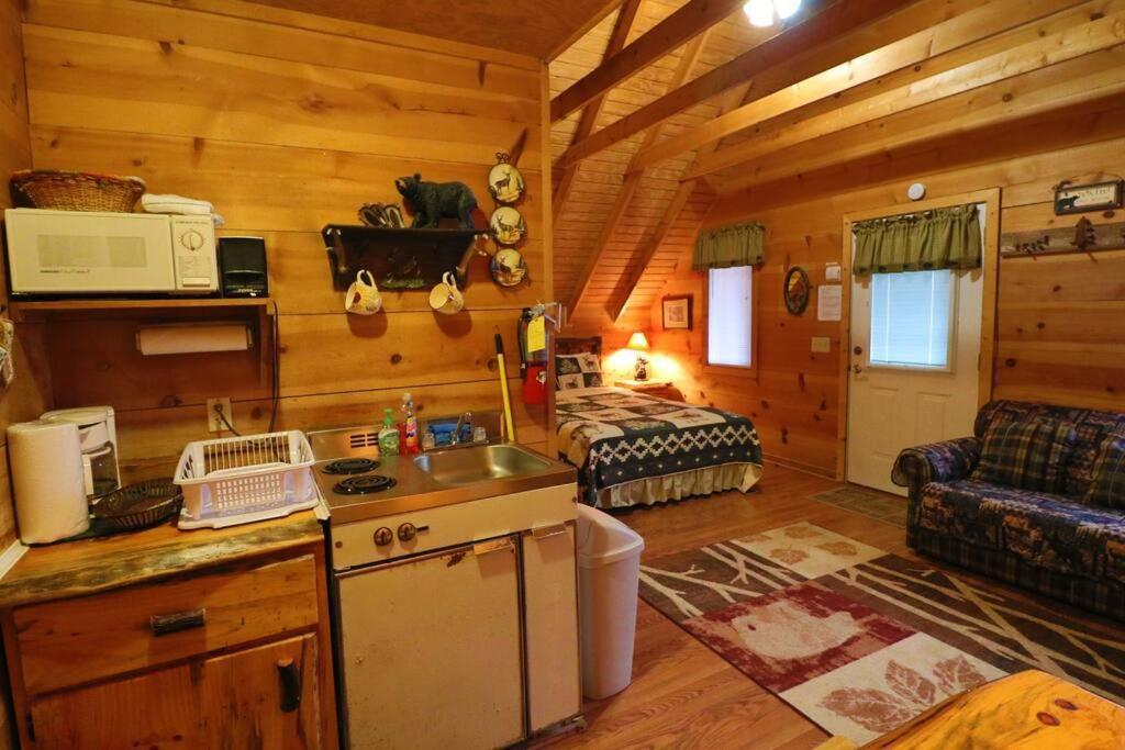 Cozy Cabin W/ Fireplace 3 Minutes To Helen! #2. Zewnętrze zdjęcie